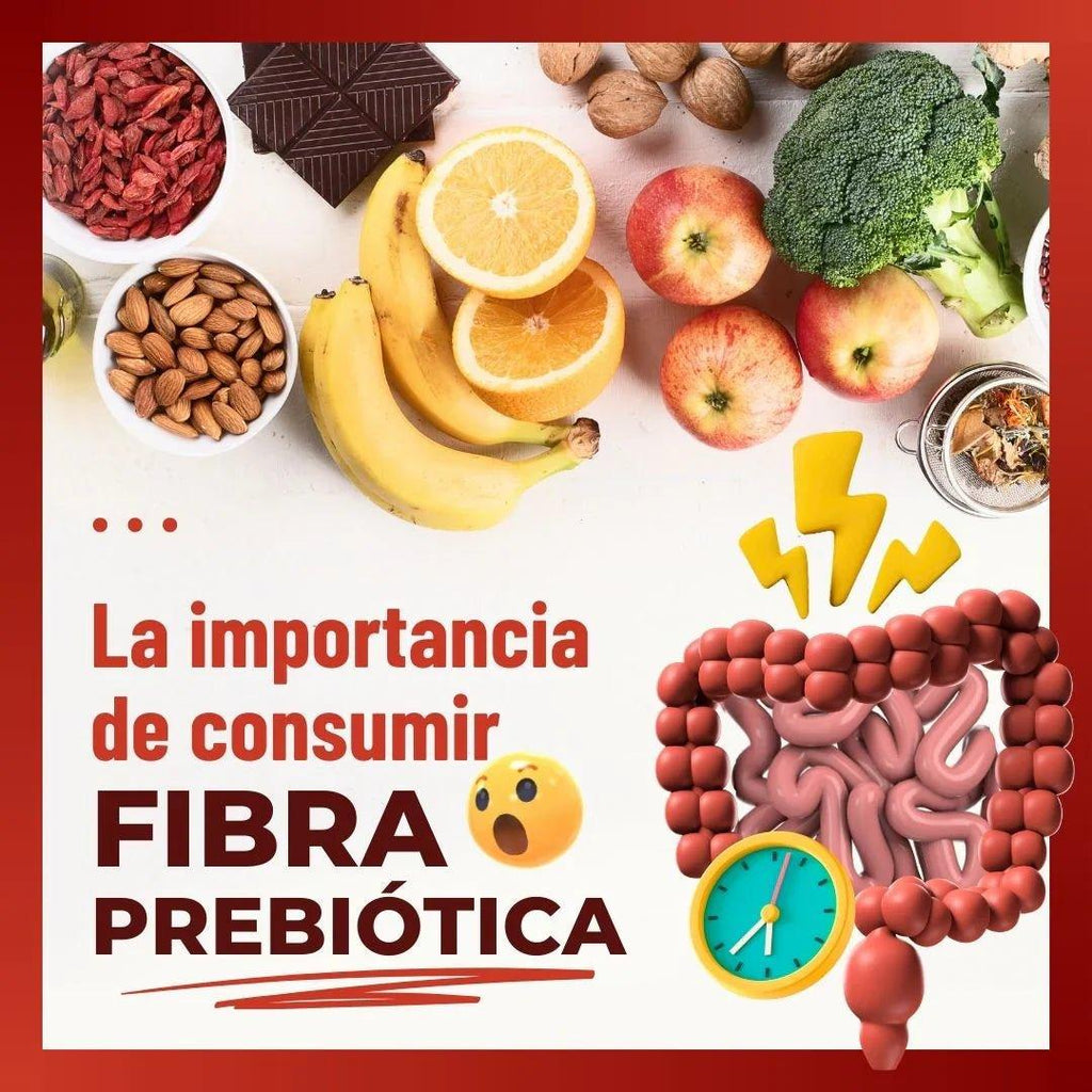 La Importancia de consumir fibra prebiótica