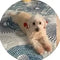 Leidy